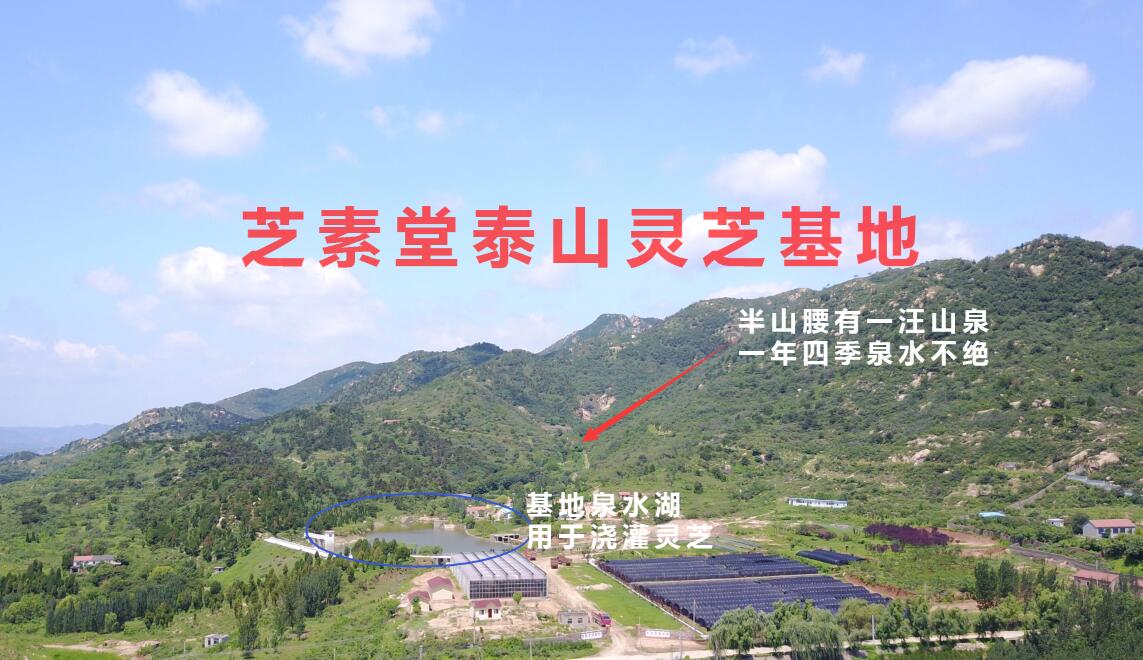 1578911543122145.jpg 1578911543122145.jpg